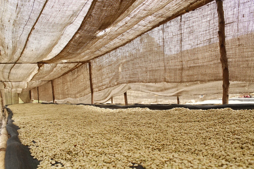 Etiopie Ayla Bombe 200g