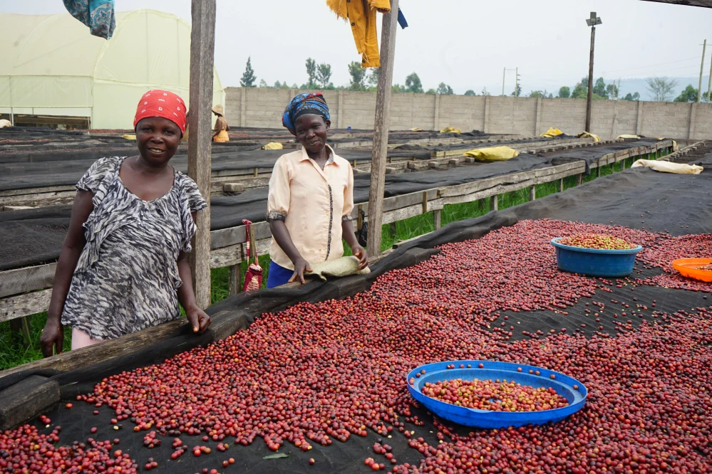 Uganda Coffee Yard 200g