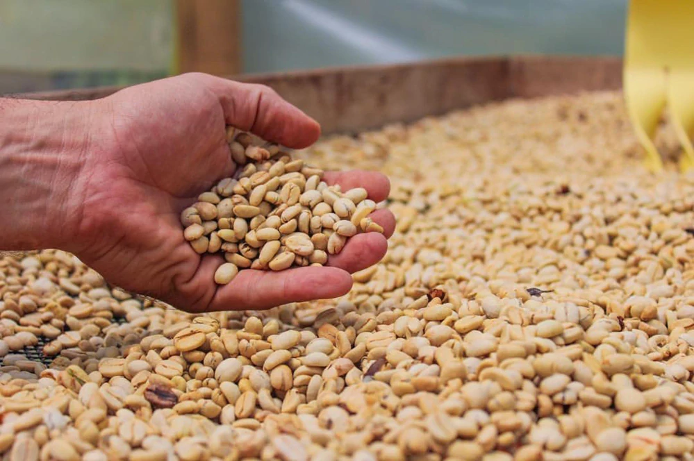 Columbie Huitaca 200g