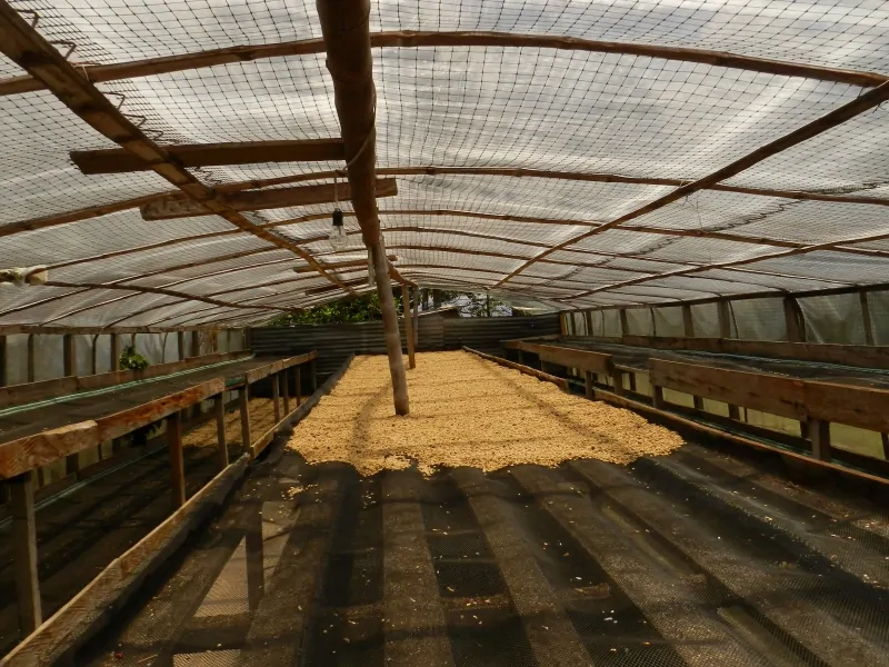 Columbia DECAF Tumbaga 200g