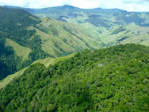 Papua New Guinea Lamari 200g